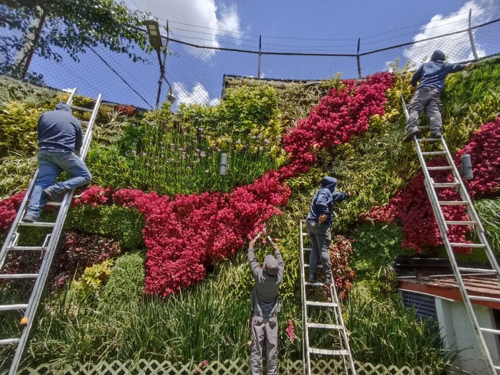 Mantenimiento de Jardines Verticales