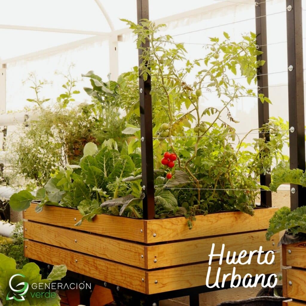 Huerto Urbano y Generación Verde