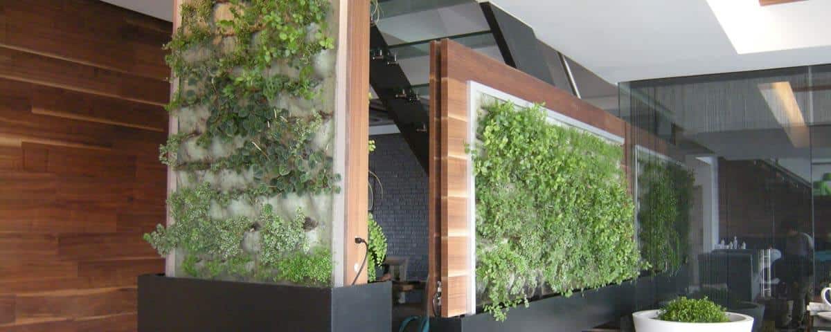 Muro Verde Interior, Lomas de Vista Hermosa