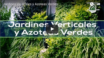 Videos Jardines Verticales y Azoteas Verdes