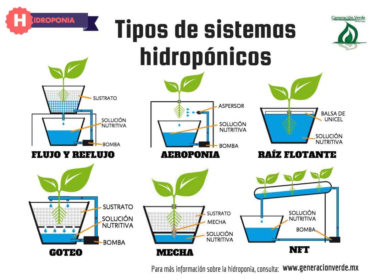 Sistema hidropónico