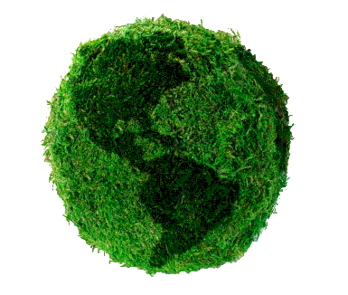 Mundo Verde - Beneficios de los jardines verticales