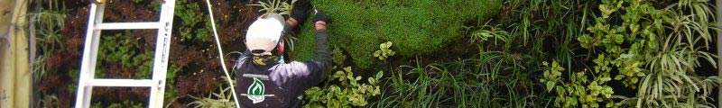 Mantenimiento a Jardin Vertical