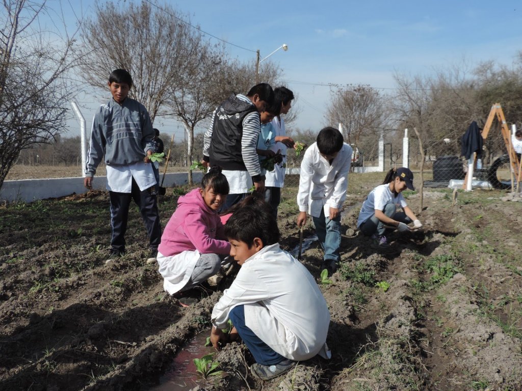 Huerta-Organica-en-Escuelas-Rurales