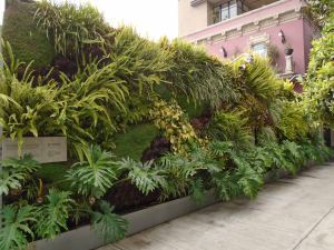 Jardín-Vertical-Exterior