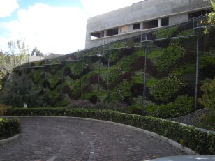 Jardín Vertical Reforma