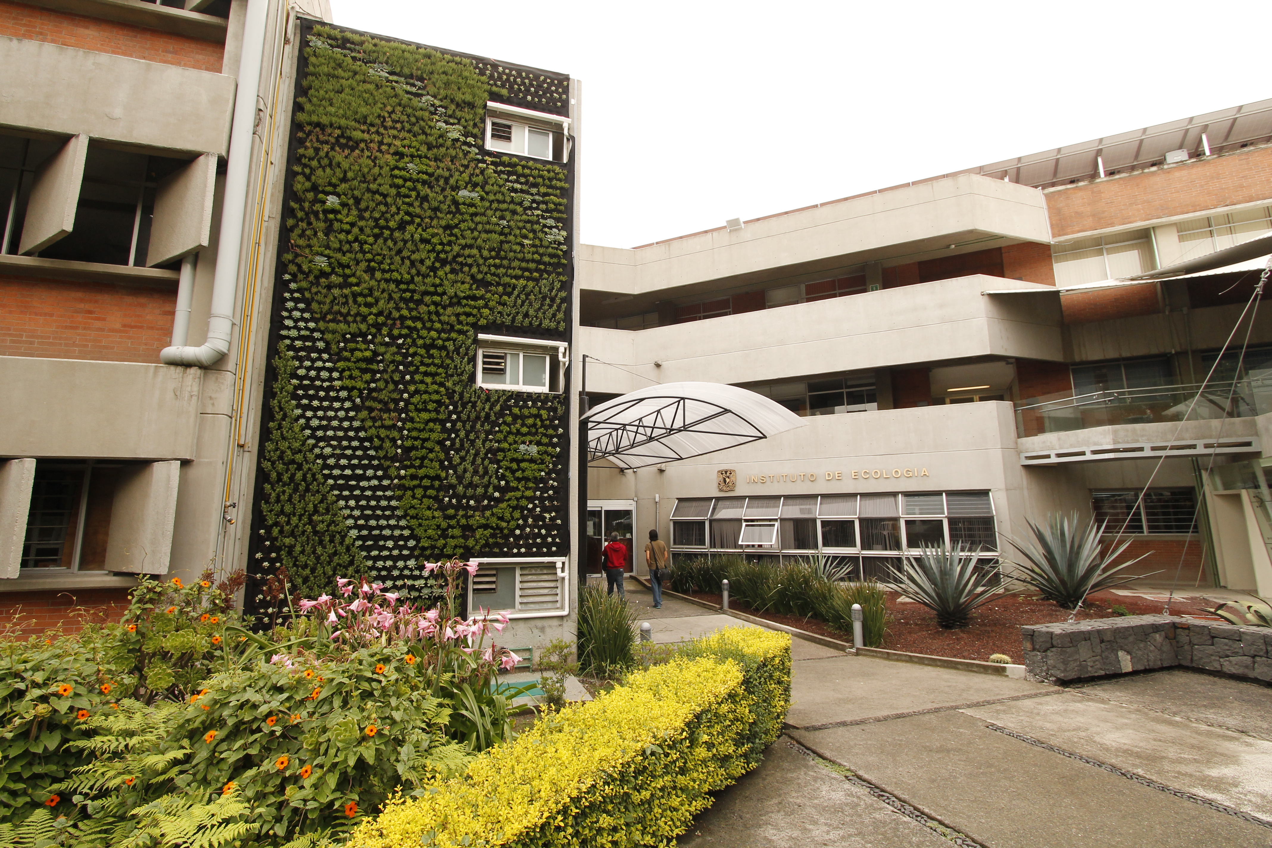 Educación Ambiental con Jardines Verticales en Instituciones Educativas - Jardín Vertical Unam Ecología