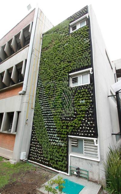 Muro Verde Exterior UNAM Ecología