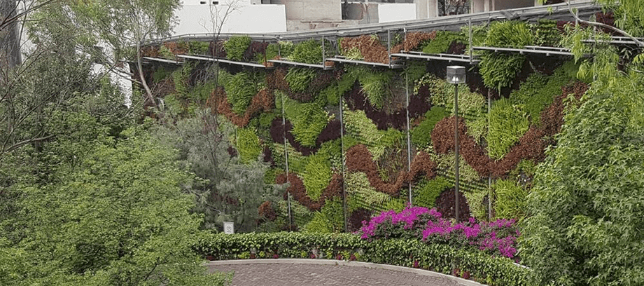 Muro Verde Reforma