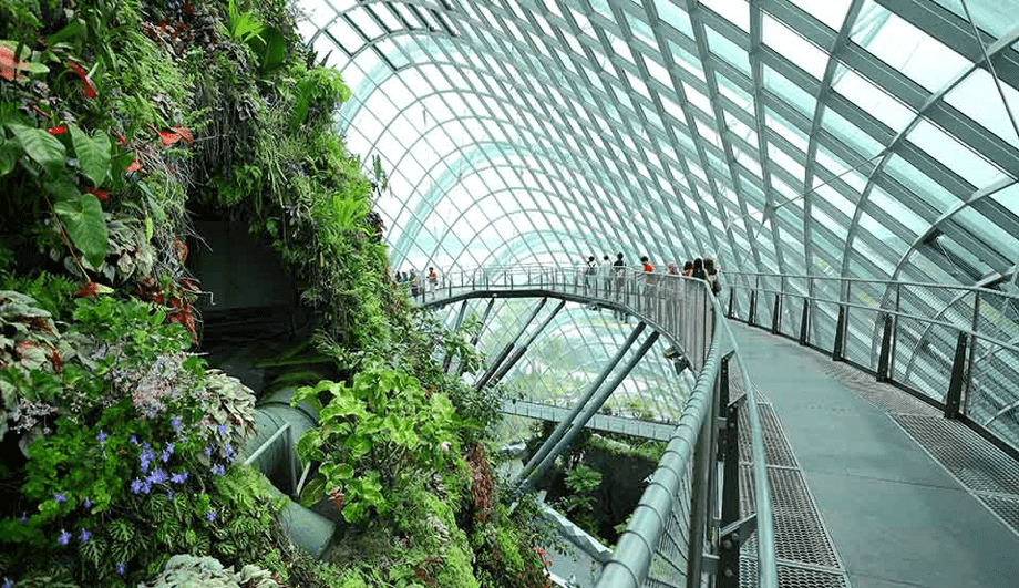 Gardens by the Bay (Singapur)