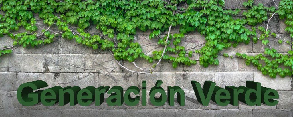 Tipos de Jardines Verticales