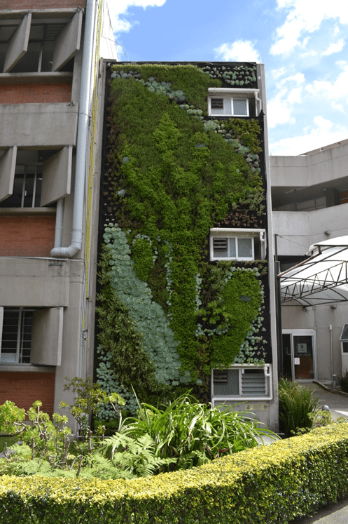 Muros Verdes Facultad de Ecología en la UNAM