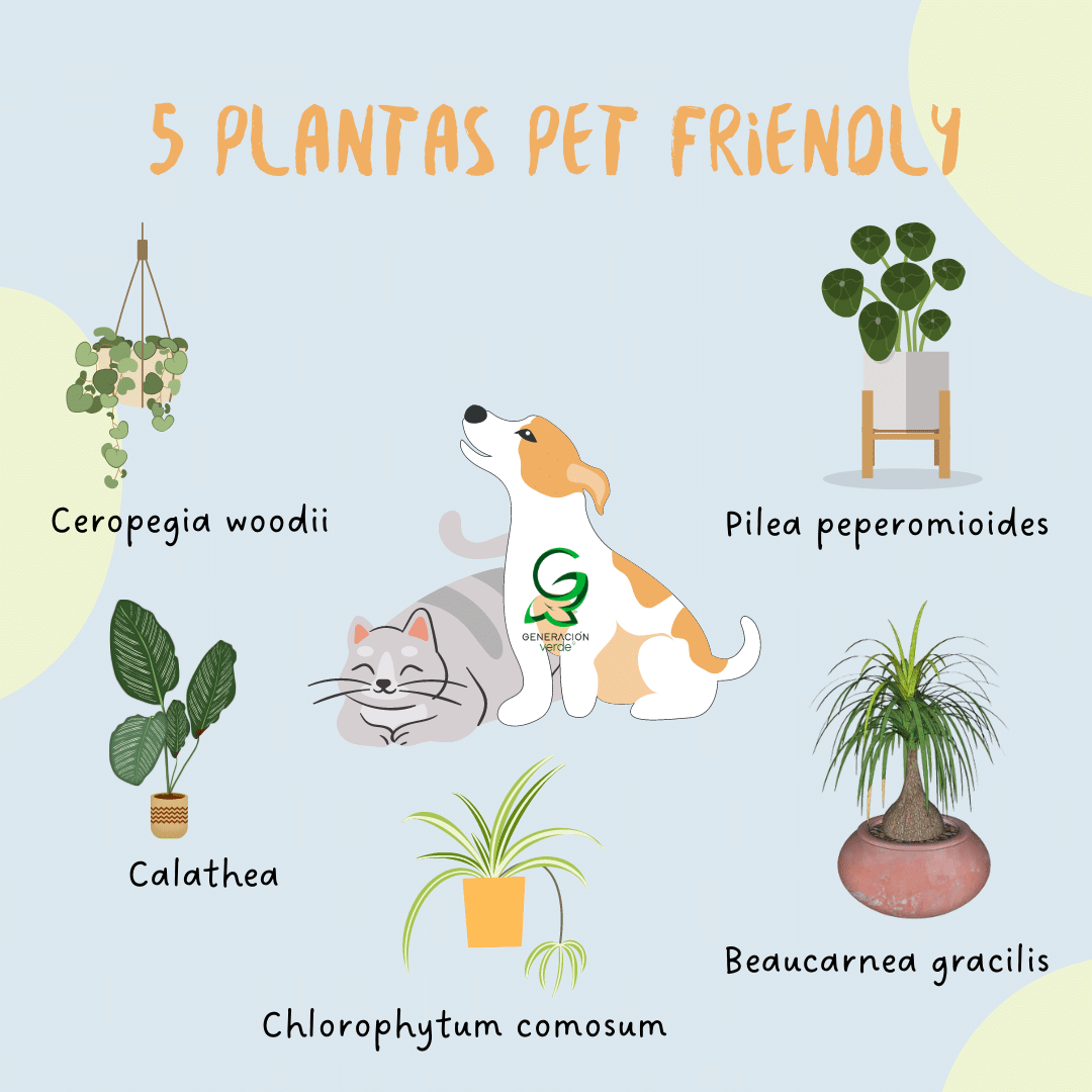 Plantas pet friendly
