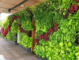 Jardin Vertical y Techos Verdes – Bonna Paisajismo