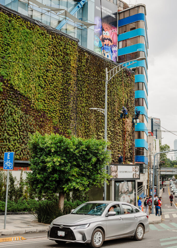 Muro verde en la ciudad