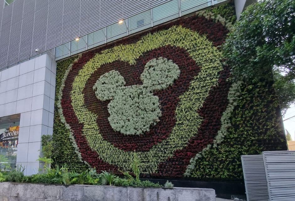 Muros verdes naturales en corporativos
