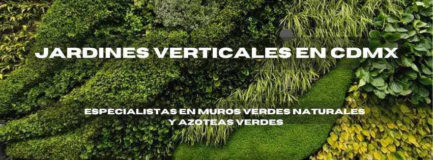 Jardines verticales en CDMX