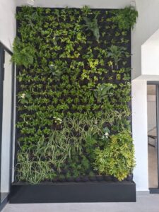 Muro verde en residencial