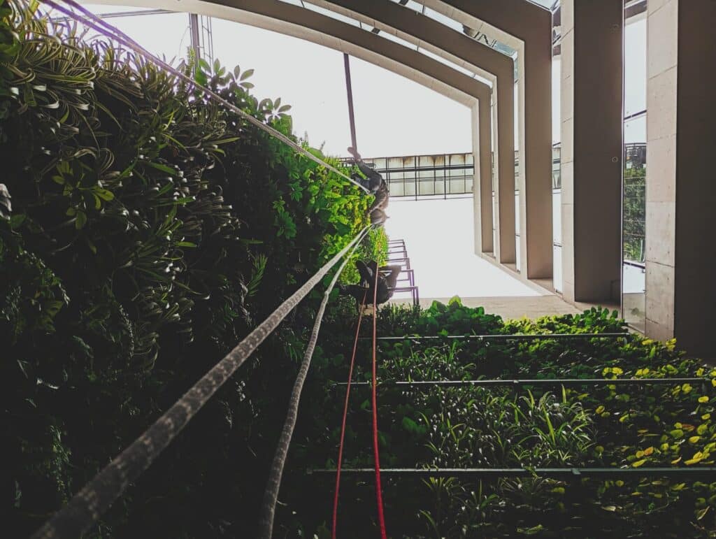 Jardín vertical