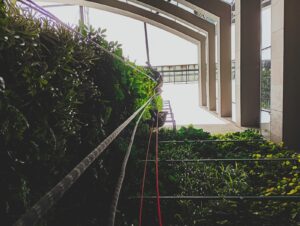 Jardín vertical