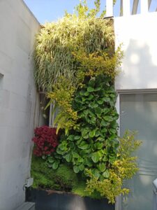 jardinverticalencasa