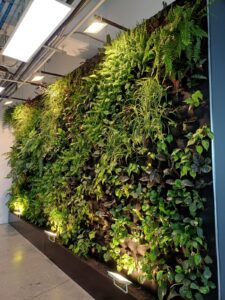 muro verde en oficina