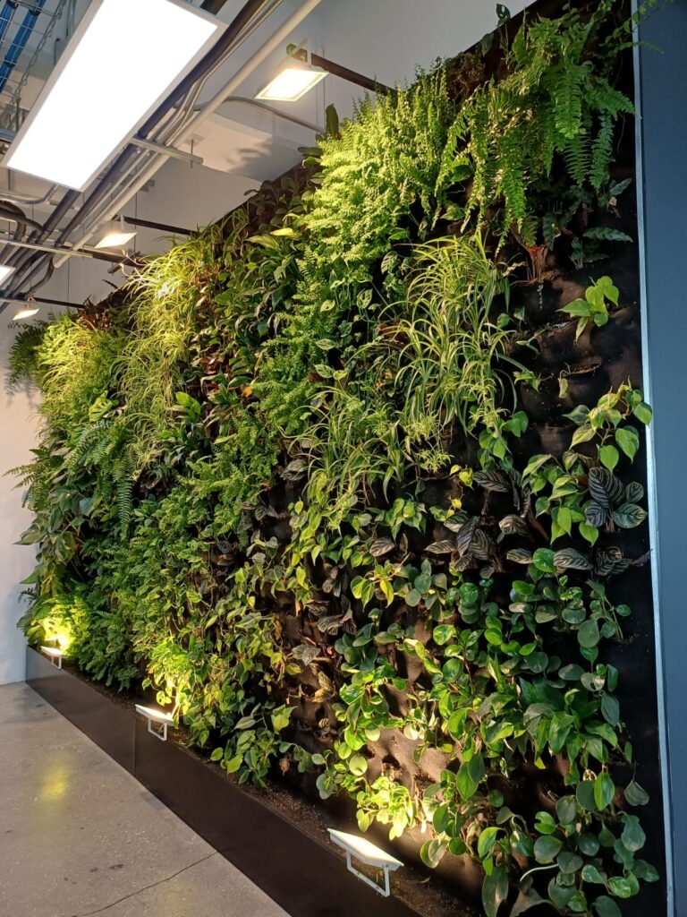 muro verde en oficina