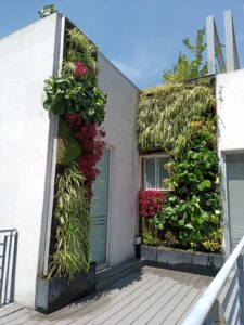 Jardines verticales como inversión