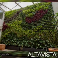 Altavista-264.jpg
