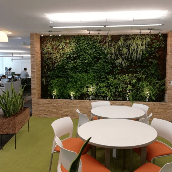 Plantas naturales dentro de una oficina.