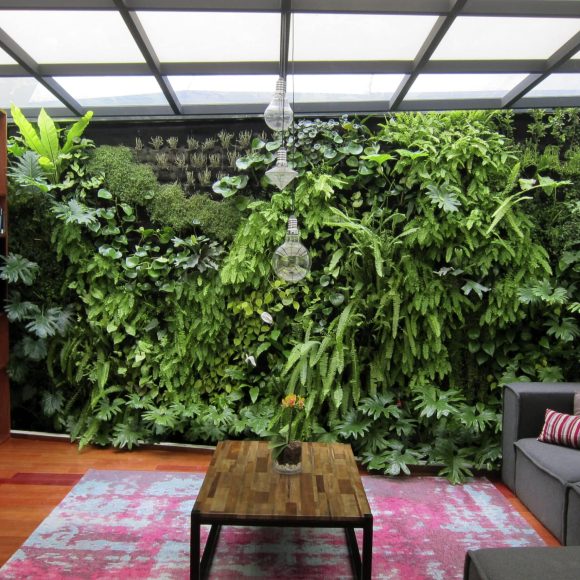Muro verde con vegetación para interior